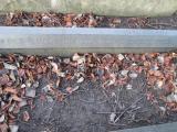 image of grave number 370768